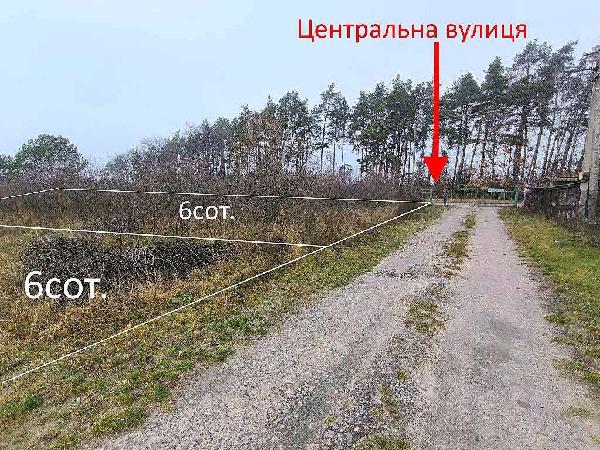 земля продам місто Миколаївка, фото 20 з 22