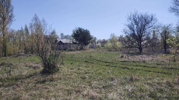 земля продам місто Київ, фото 8 з 20