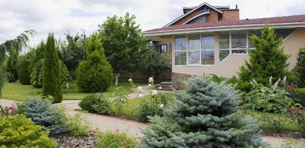 будинок продам селище Козин, фото 4 з 24
