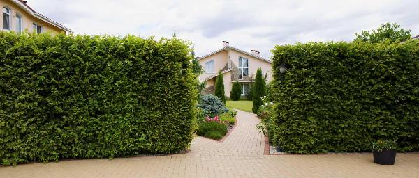будинок продам селище Козин, фото 5 з 24