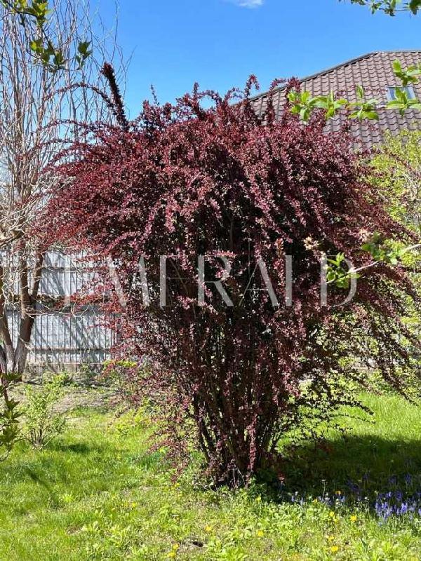 будинок продам місто Київ, фото 14 з 24