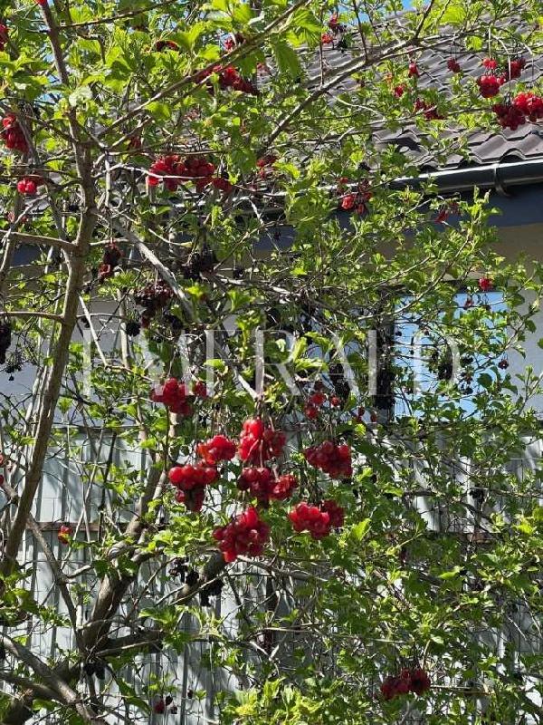 будинок продам місто Київ, фото 15 з 24