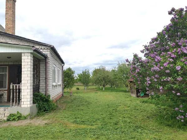 будинок продам село Русанів, фото 6 з 24