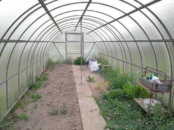 будинок продам село Русанів, фото 8 з 24