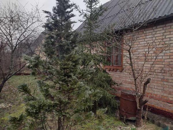 будинок продам село Пороскотень, фото 14 з 24