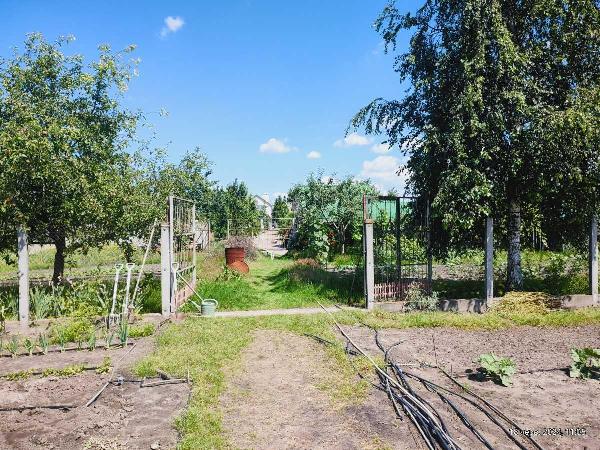 земля продам місто Погребище, фото 6 з 24