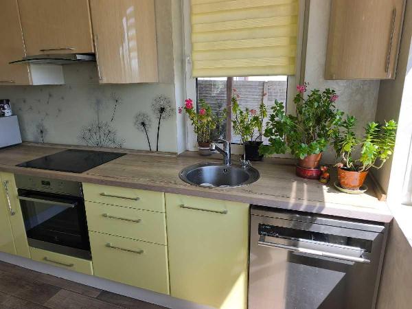 будинок продам село Білогородка, фото 13 з 24