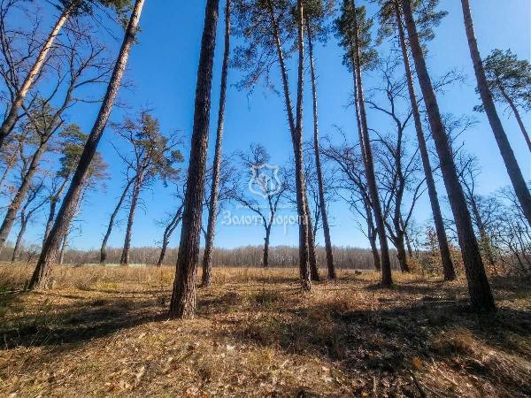 земля продам село Козин, фото 1 з 4
