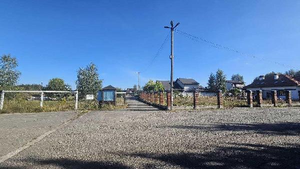 земля продам село Нові Безрадичі, фото 4 з 15