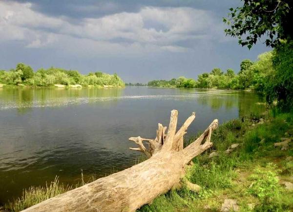 будинок продам село Хотянівка, фото 20 з 24
