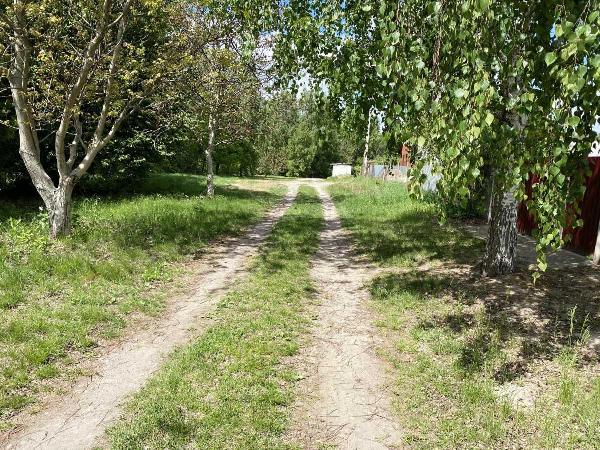 земля продам смт Мала Данилівка, фото 13 з 13