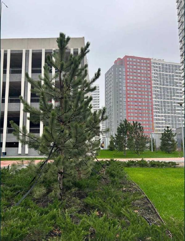 квартира продам місто Київ, фото 8 з 12