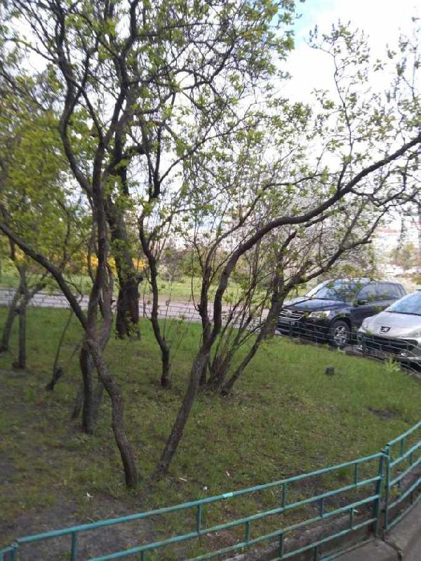 квартира здам довгостроково місто Київ, фото 7 з 11