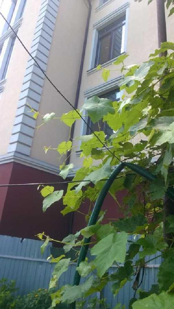 будинок продам місто Київ, фото 10 з 10