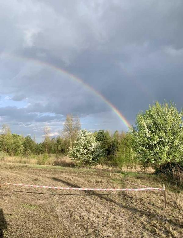 земля продам село Новосілки, фото 5 з 19