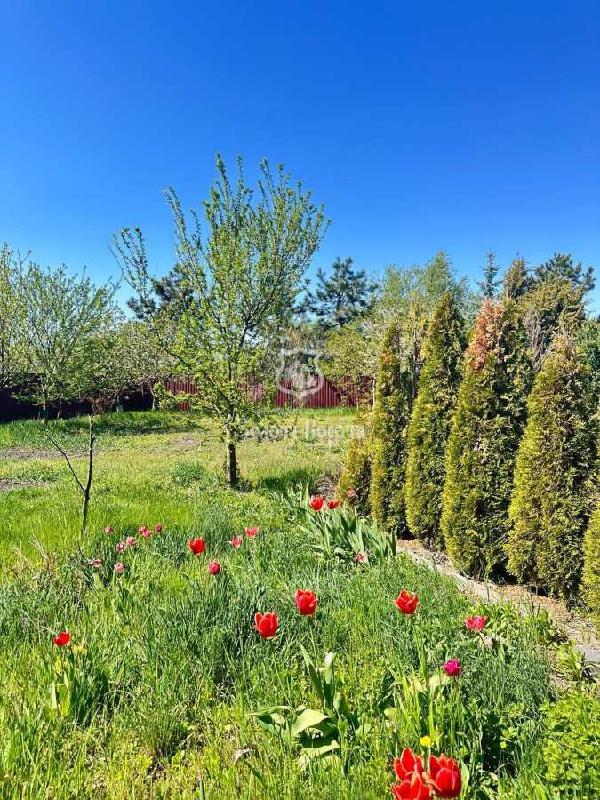 будинок продам село Підгірці, фото 14 з 18