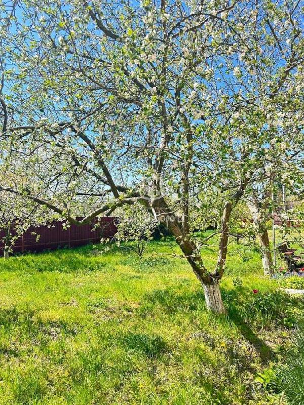 будинок продам село Підгірці, фото 16 з 18