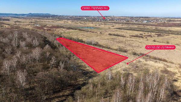 земля продам село Чижиків, фото 2 з 10