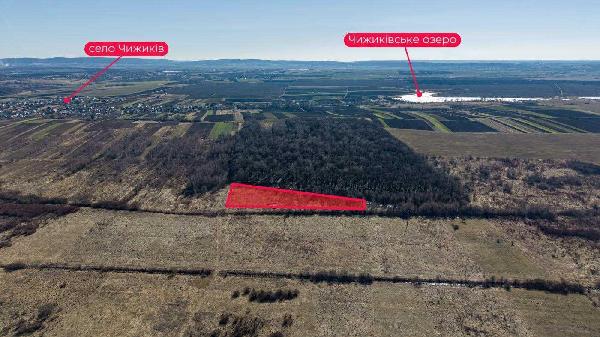 земля продам село Чижиків, фото 4 з 10
