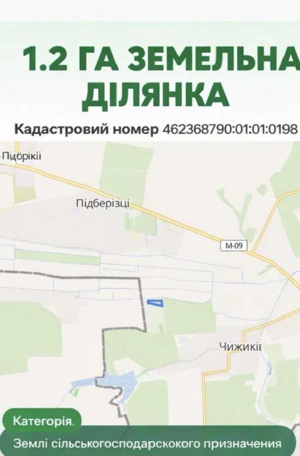 земля продам село Чижиків, фото 8 з 10