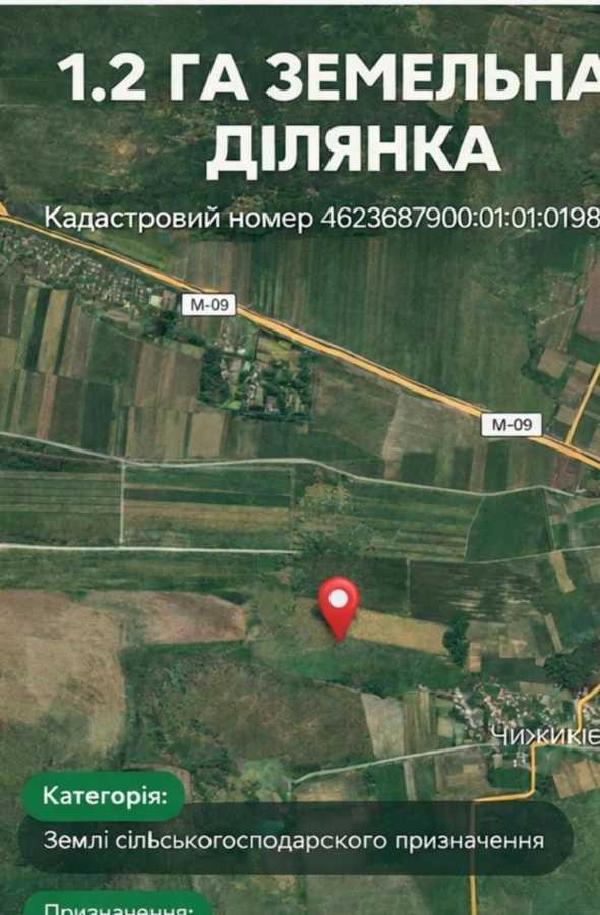 земля продам село Чижиків, фото 9 з 10