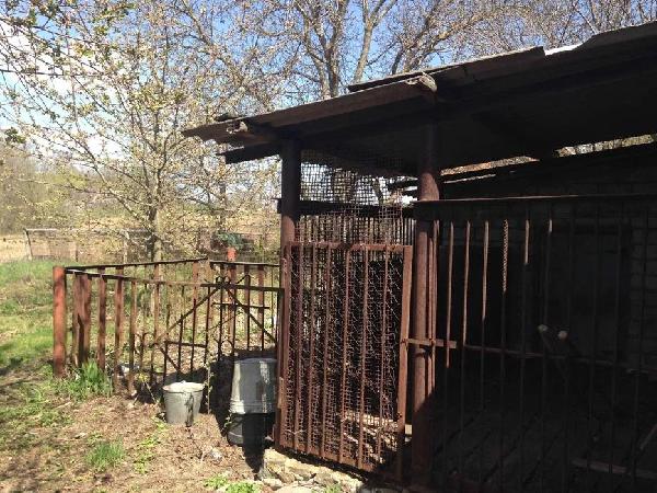 будинок продам село Бобриця, фото 11 з 13