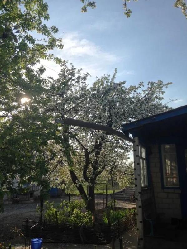 будинок продам село Бобриця, фото 13 з 13