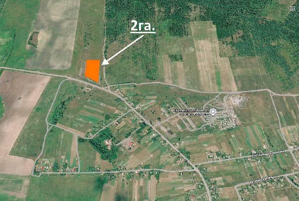 земля продам село Ніжиловичі, фото 4 з 13