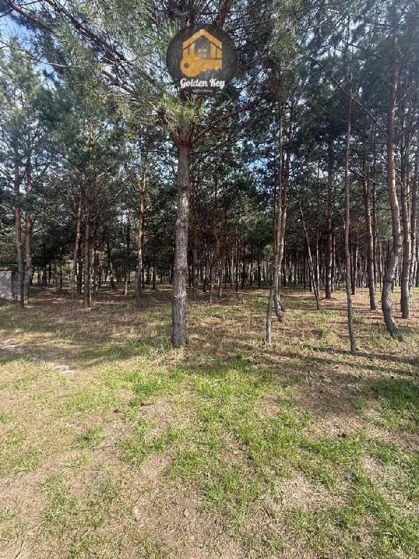 квартира продам село Ясногородка, фото 16 з 24