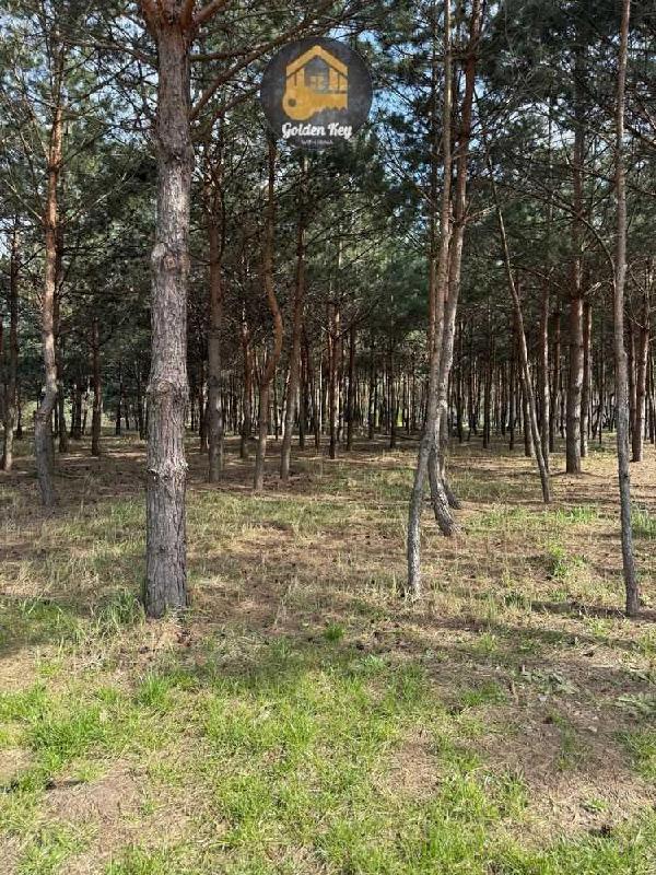 квартира продам село Ясногородка, фото 23 з 24