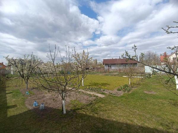 будинок продам село Петропавлівське, фото 7 з 14