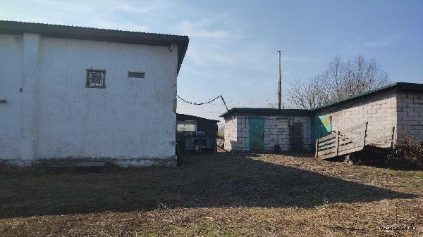 нежитлова нерухомість продам село Літки, фото 23 з 24