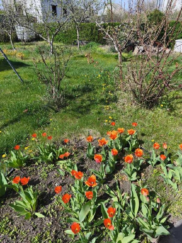 будинок продам місто Новомосковськ, фото 7 з 21