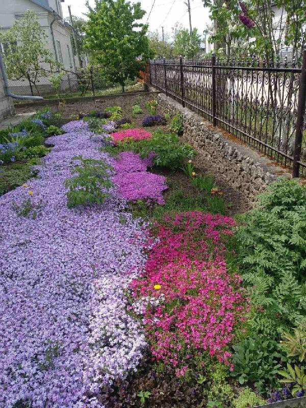 будинок продам cмт Підволочиськ, фото 6 з 10