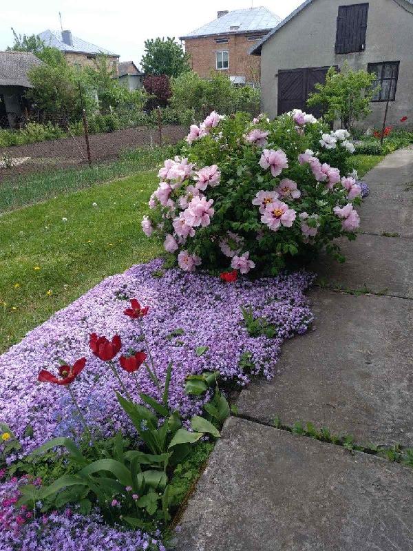 будинок продам cмт Підволочиськ, фото 7 з 10