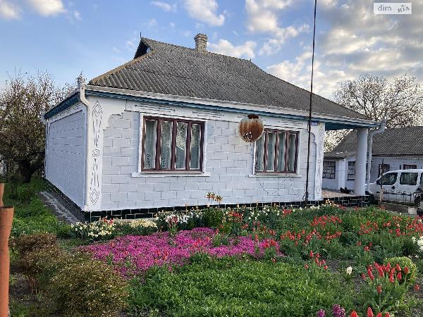 будинок продам село Помічна, фото 1 з 12