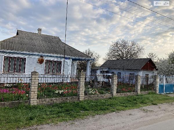 будинок продам село Помічна, фото 2 з 12
