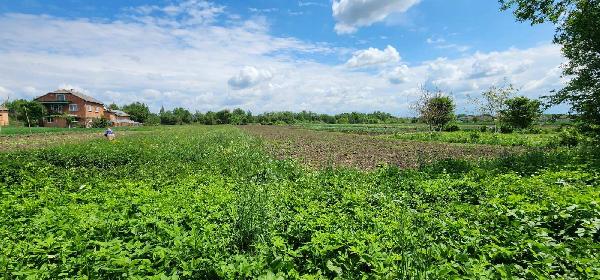 будинок продам село Станківці, фото 26 з 26
