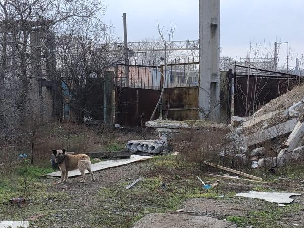 нежитлова нерухомість продам місто Одеса, фото 6 з 7