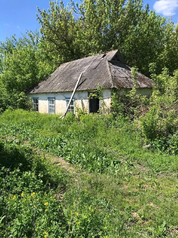 земля продам село Запруддя, фото 4 з 4