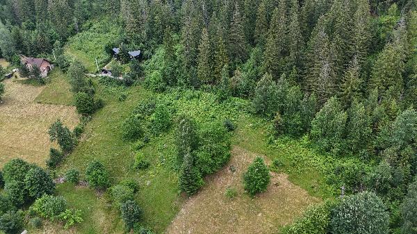 земля продам місто Яремче, фото 5 з 6