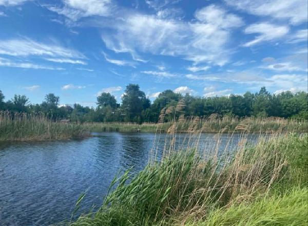 земля продам село Бовкун, фото 1 з 12