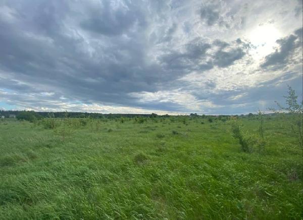 земля продам село Бовкун, фото 3 з 12