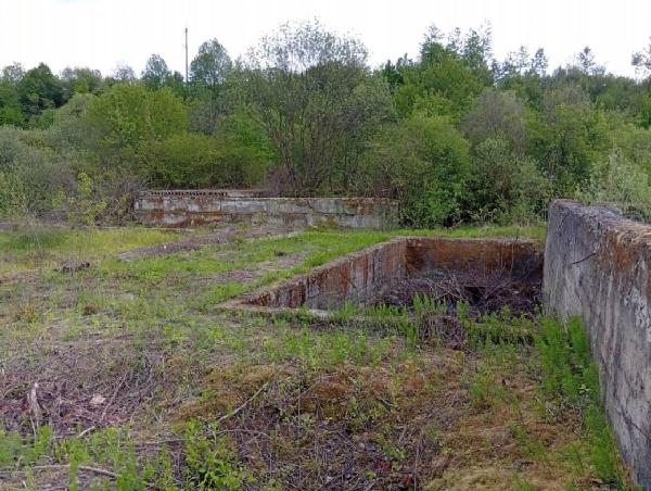 земля продам село Неліпино, фото 4 з 11