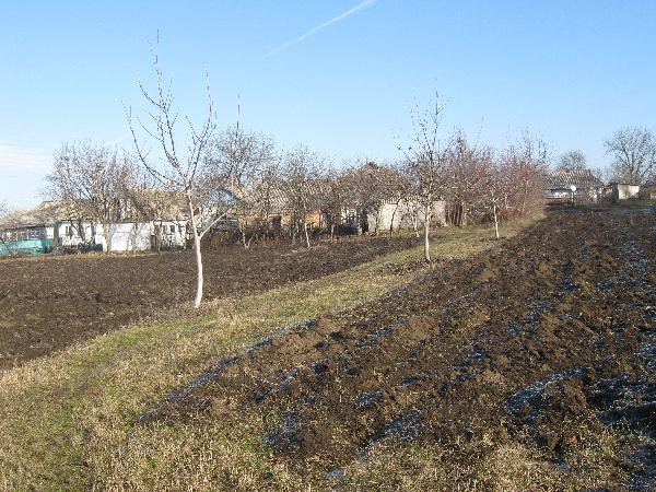  - фото нерухомості