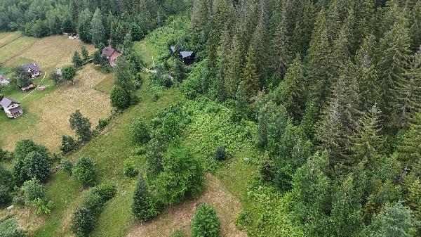 земля продам місто Яремче, фото 4 з 6
