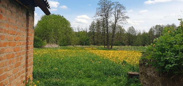 будинок продам село Іванківці, фото 4 з 18