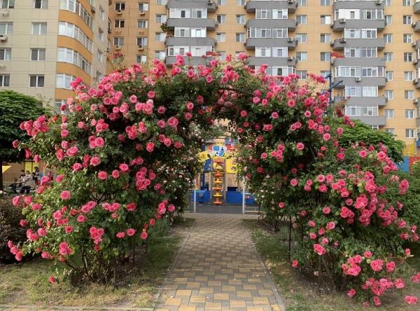 квартира здам довгостроково місто Київ, фото 2 з 13