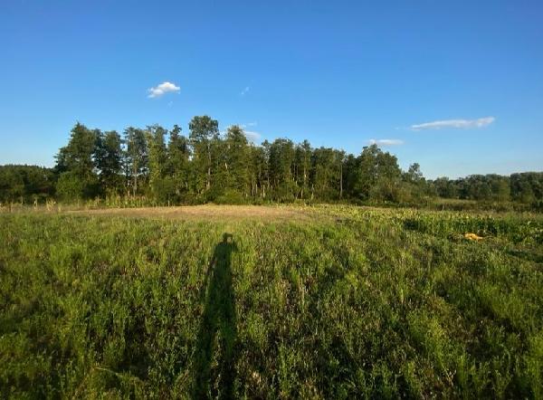земля продам смт Рокитне, фото 6 з 13