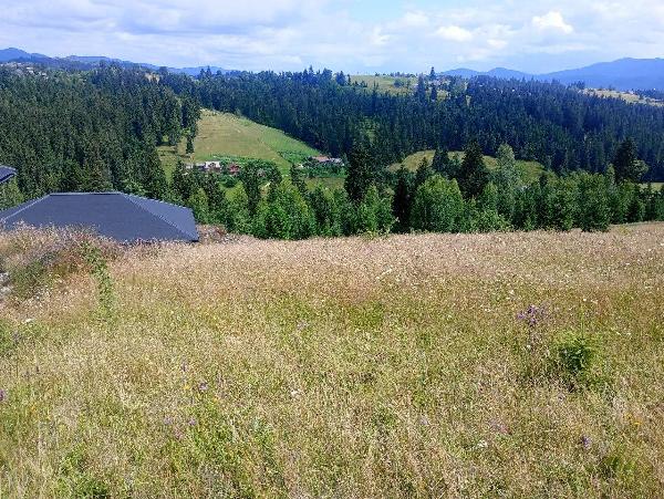 земля продам село Яблуниця, фото 1 з 3